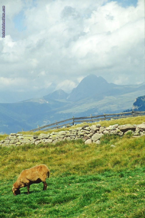 http://www.hoteldolomiten.com/fotogalerie/cache/vs_Landscapes_48.jpg