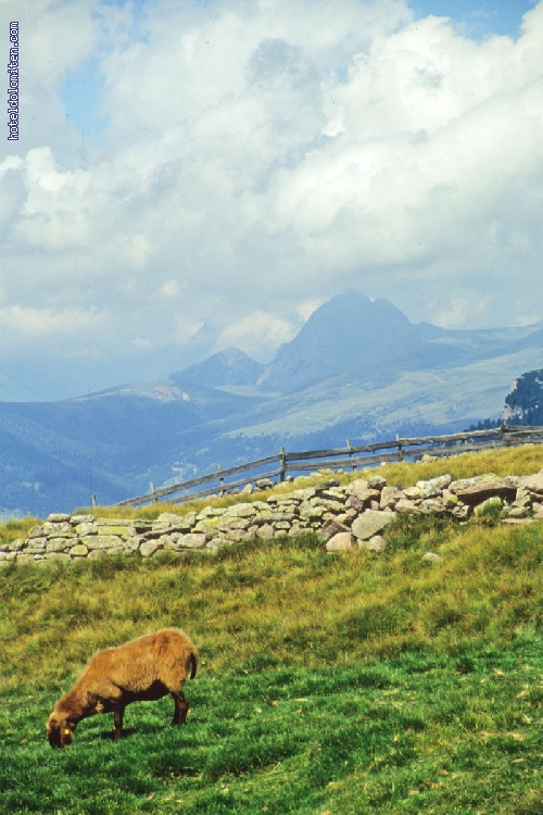http://www.hoteldolomiten.com/fotogalerie/cache/vs_Landscapes_49.jpg