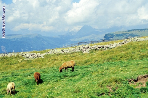 http://www.hoteldolomiten.com/fotogalerie/cache/vs_Landscapes_50.jpg