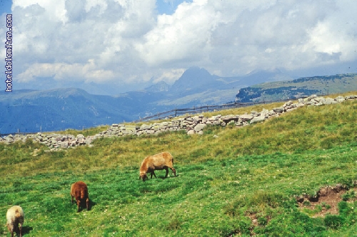 http://www.hoteldolomiten.com/fotogalerie/cache/vs_Landscapes_51.jpg