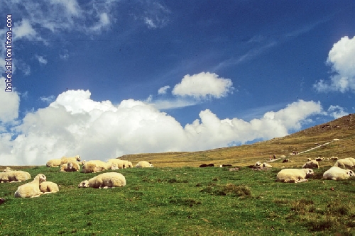 http://www.hoteldolomiten.com/fotogalerie/cache/vs_Landscapes_52.jpg