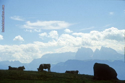 http://www.hoteldolomiten.com/fotogalerie/cache/vs_Landscapes_53.jpg