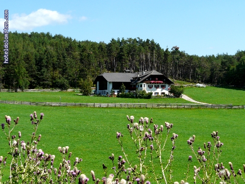 http://www.hoteldolomiten.com/fotogalerie/cache/vs_Renon%20impressioni_P1130057.JPG