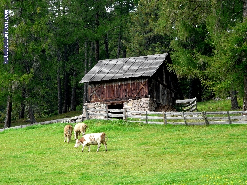 http://www.hoteldolomiten.com/fotogalerie/cache/vs_Renon%20impressioni_P1130316.JPG