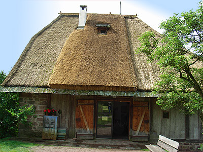 museo dell'apicoltura